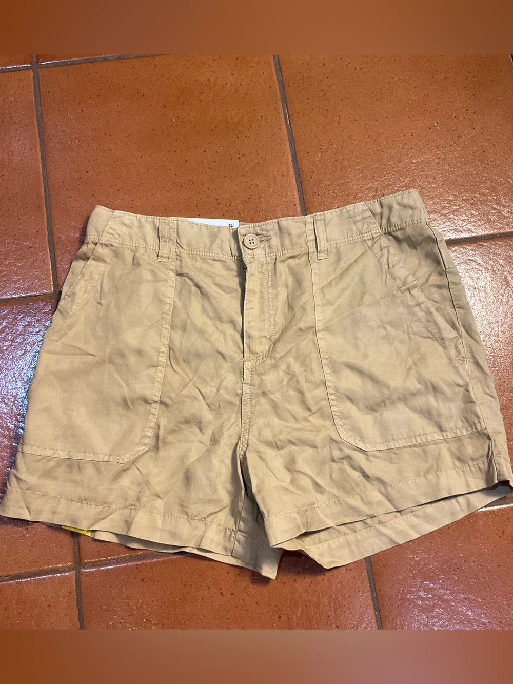 NWT Anthropologie Social Standard Sanctuary Fortune Tencel Shorts Medium Tan